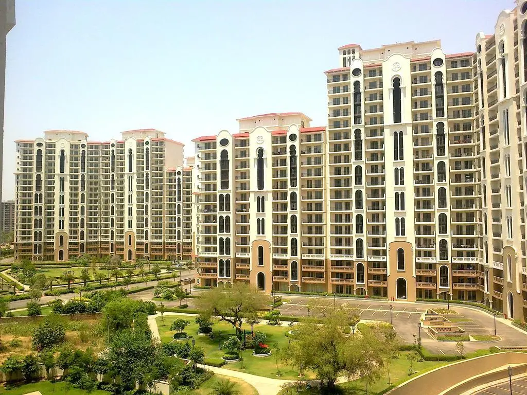 DLF Project